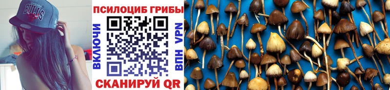 наркота  Мышкин  Псилоцибиновые грибы прущие грибы 